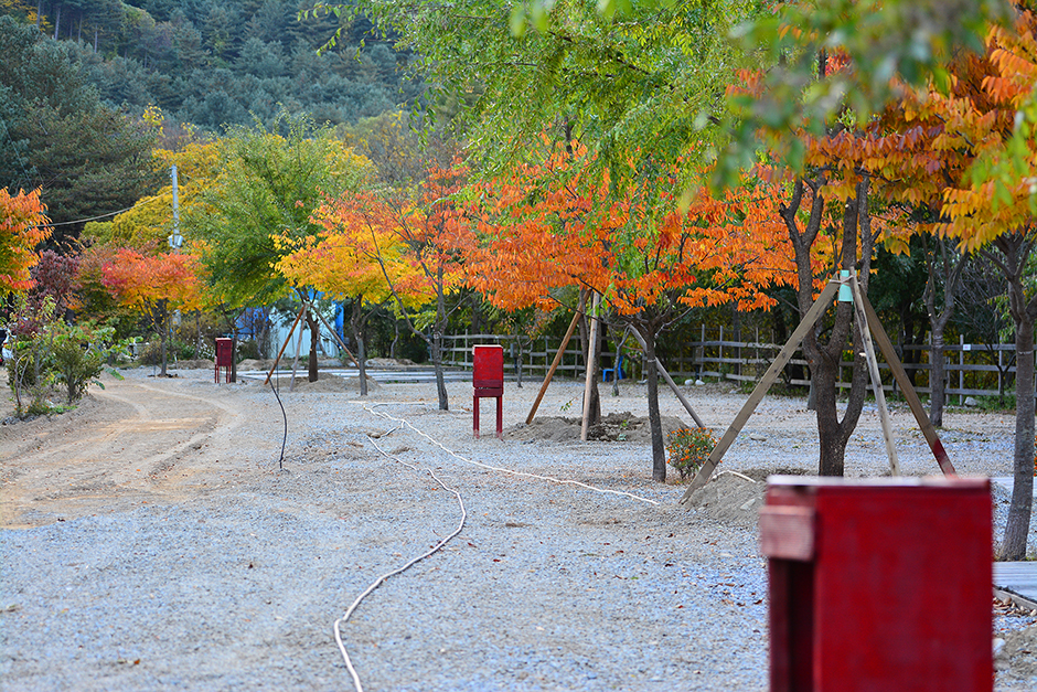Gapyeong Mulgol Forest Valley Campground