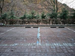 김천물소리생태숲 사진 4
