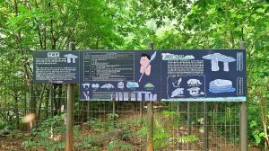 서울_고척동 고인돌 (2)