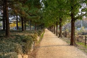 [평화누리길 4코스] 행주나루길