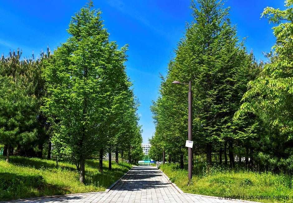 郷南和合公園
