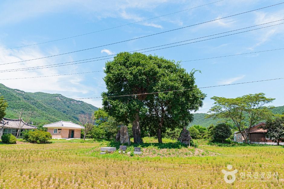牛洞里堂山
