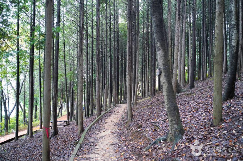 唐马山