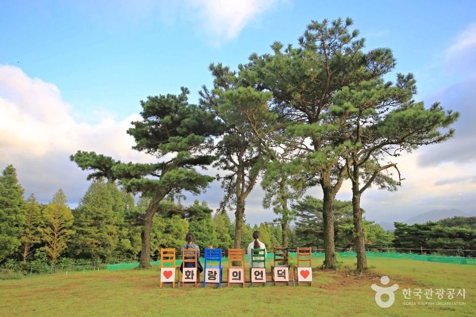 화랑의 언덕 - 경상북도 경주시 산내면 수의길 601 관광 명소