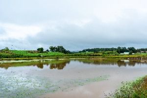 부여 산직지 사진 6