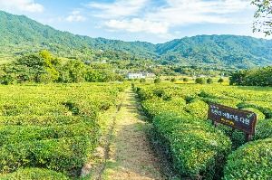 경남 하동 악양면 [슬로시티] 사진 7