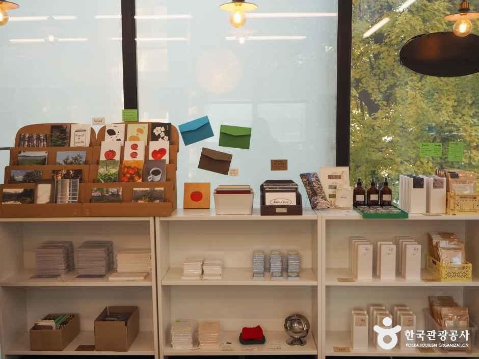 춘천_304아일랜드 (3).jpg