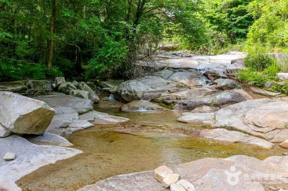 대구_군위_동산계곡 (2).JPG