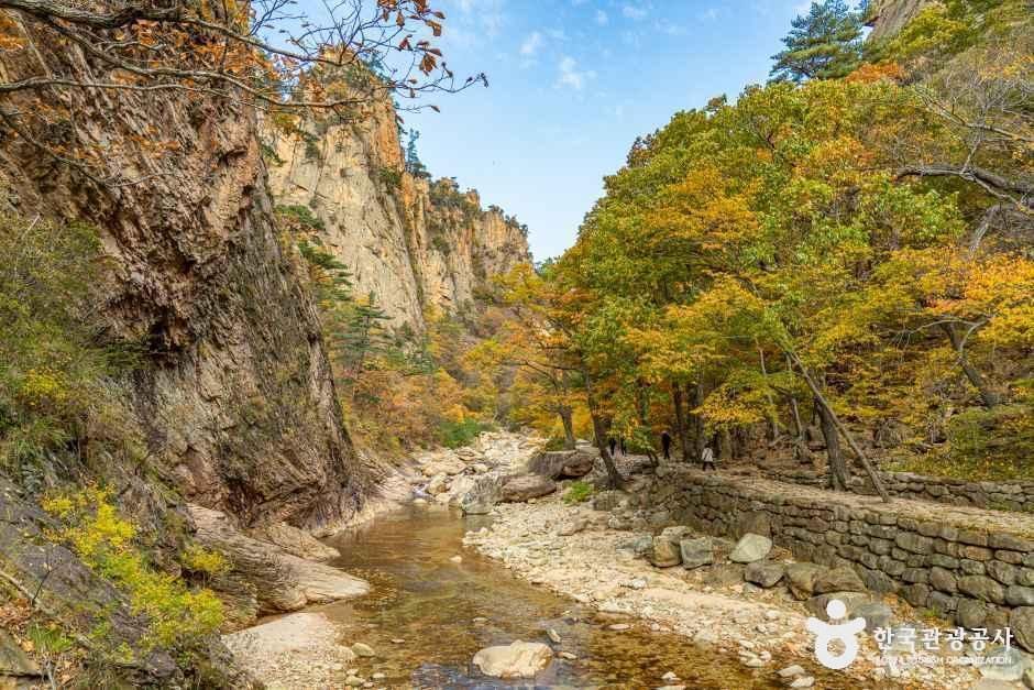 양양_설악산 오색주전골 (7).jpg