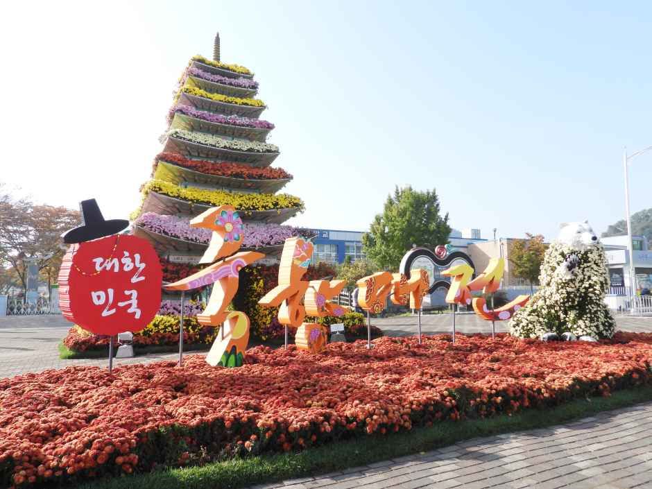 Koreanisches Chrysanthemenfestival (대한민국 국향대전)