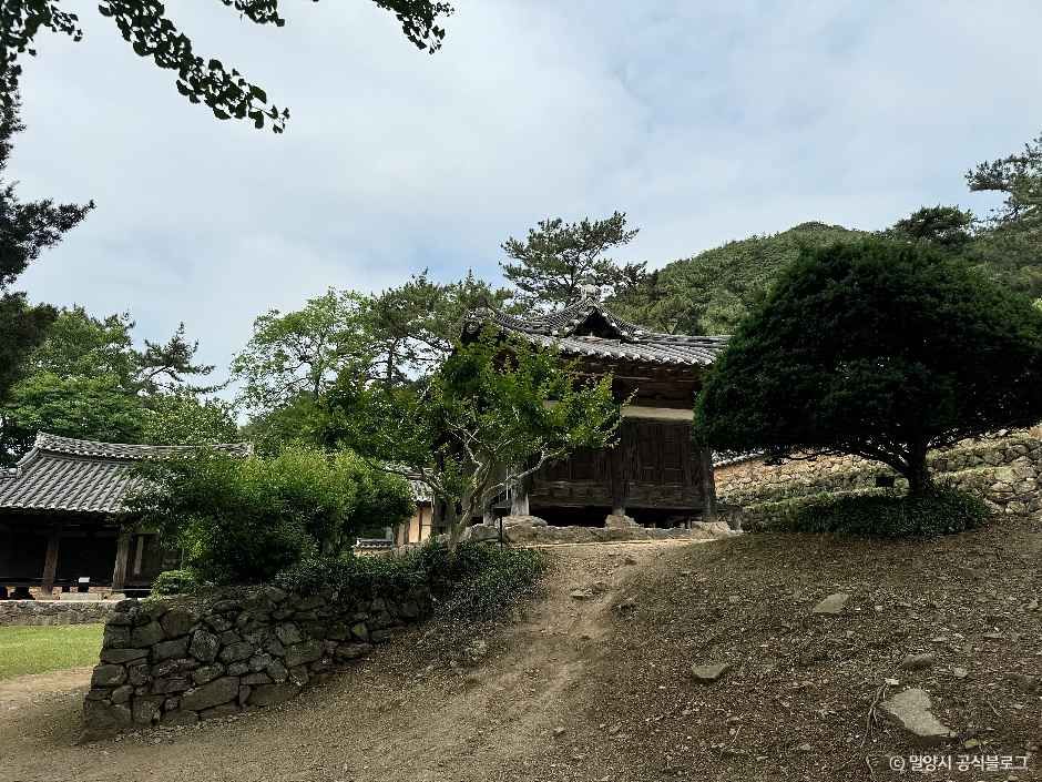 [밀양아리랑길 3코스] 금시당길