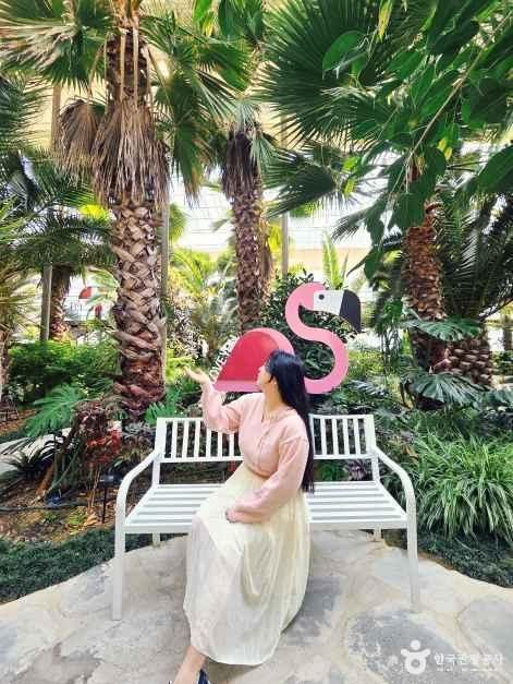 강릉 솔향수목원