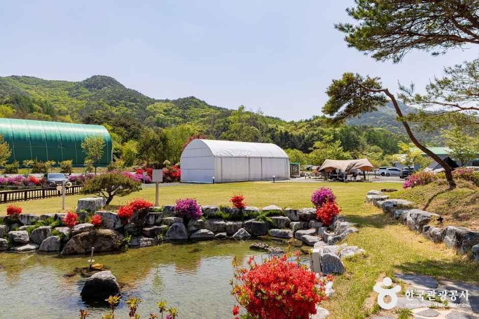 해밀터