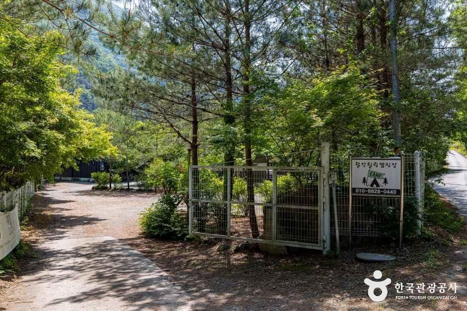 월악힐링캠핑장