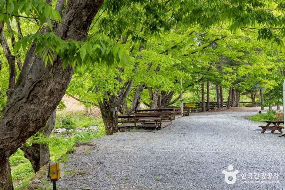 스카이운학오토캠핑장