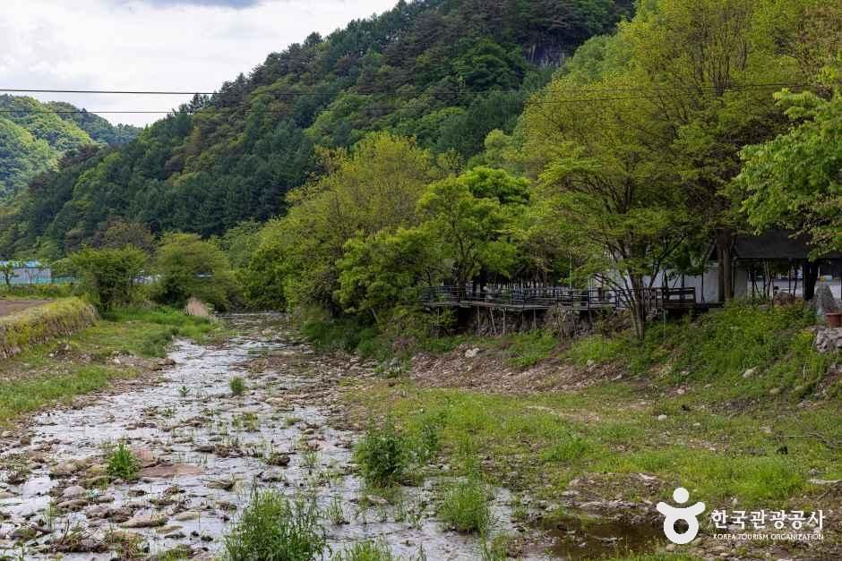 별수하캠핑장