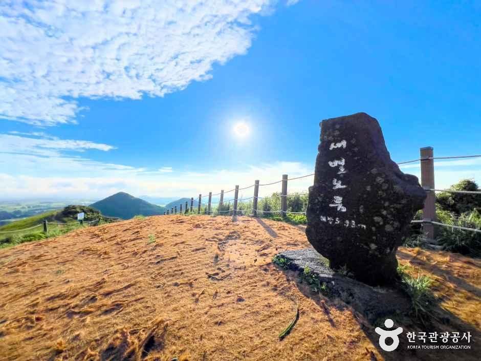 제주_제주_새별오름_정상.jpg