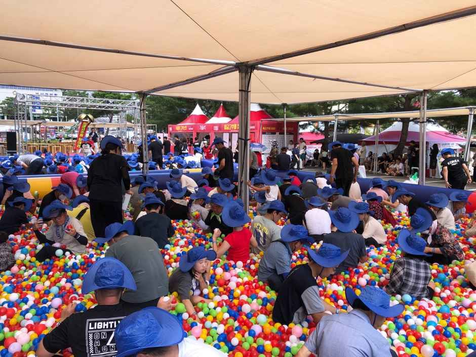 괴산고추축제 3