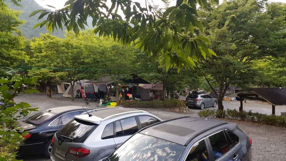 영월_휴가를부탁해 캠핑장&야영장 (1).jpg