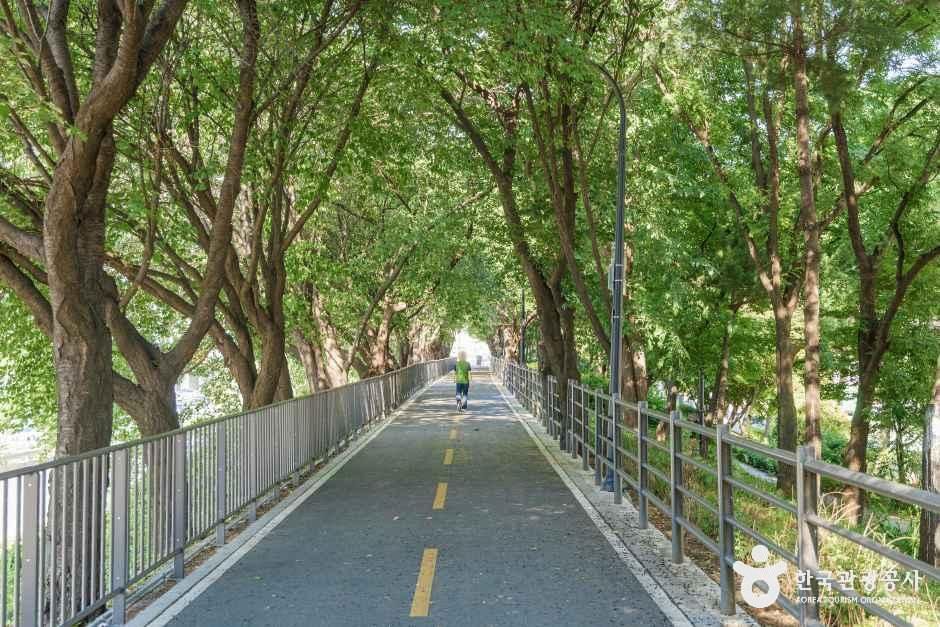 송정제방길