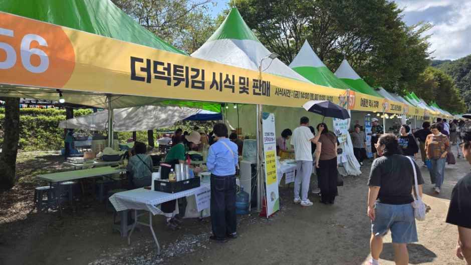 횡성더덕축제 사진 7