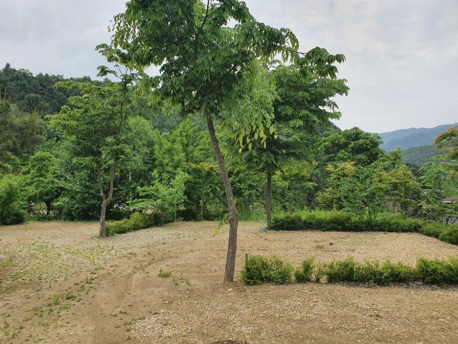 노산팔경캠핑장