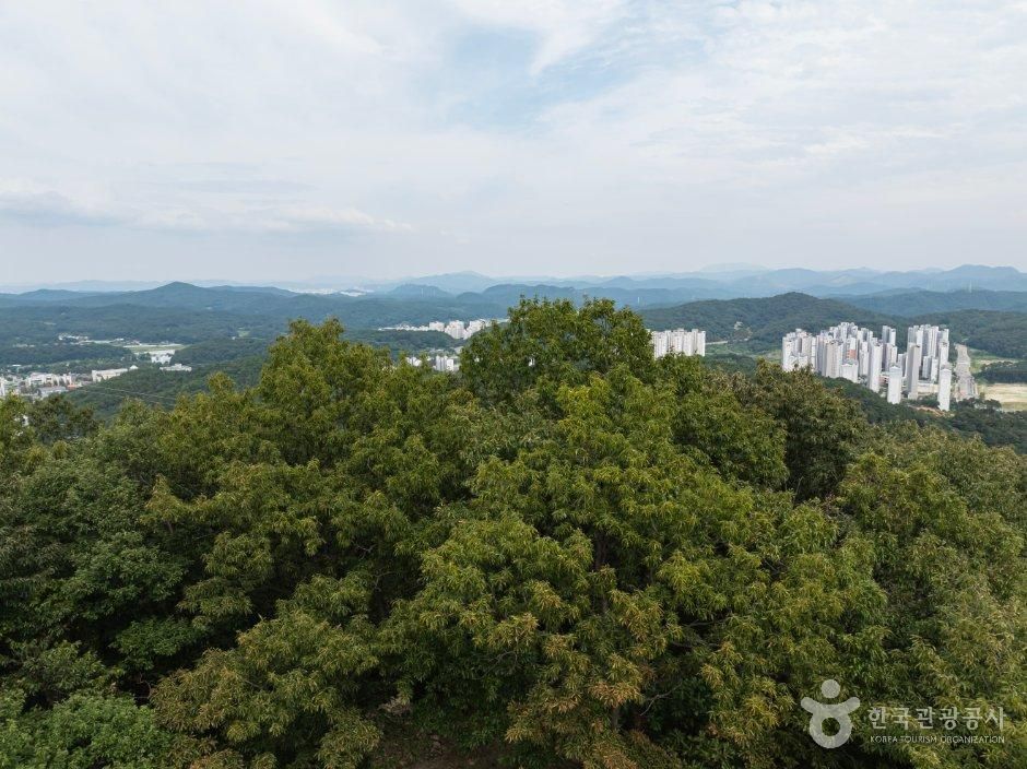 충남_계룡시_천마산 (3).jpg