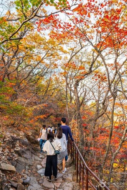 [가볼래-터] 하늘을 가장 편하게 나는 법, 친구와 떠나는 케이블카 투어_강원_속초_설악산 케이블카_5.jpg