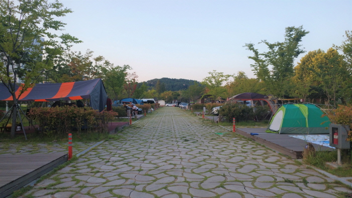 시민의 숲 야영장
