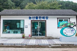 영양 두메송하마을