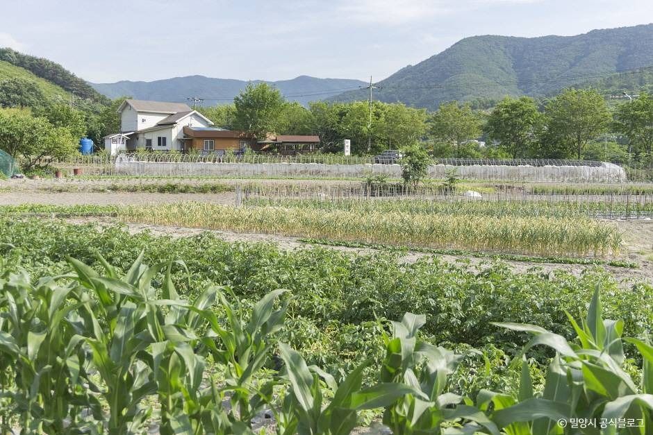平里山大枣村