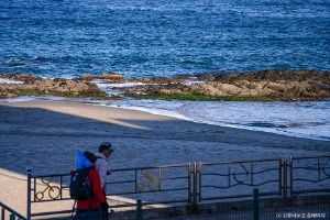 [해파랑길] 37코스(바우길 7구간)