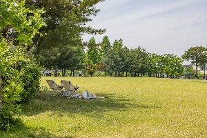 청주_문암생태공원 (7) 미리보기