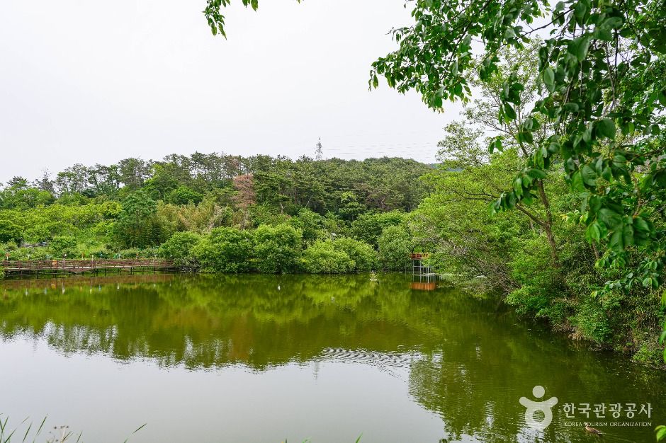 花洞池水边公园
