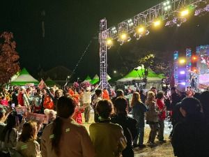 2025 안흥찐빵축제 5