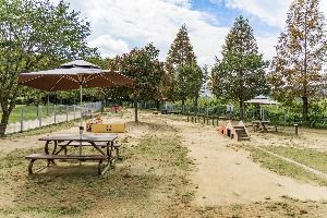 용인_기흥호수공원 반려동물놀이터 (3) 미리보기