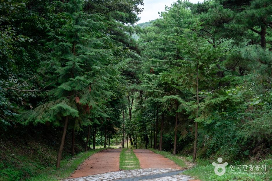 [大邱Olle 八公山2线] 寒室谷之路