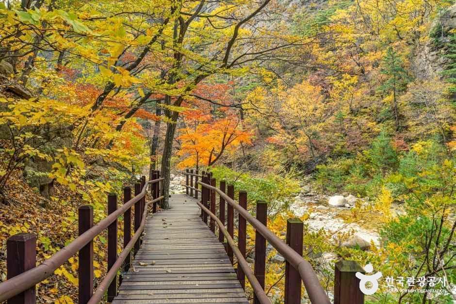 양양_설악산 오색주전골 (8).jpg