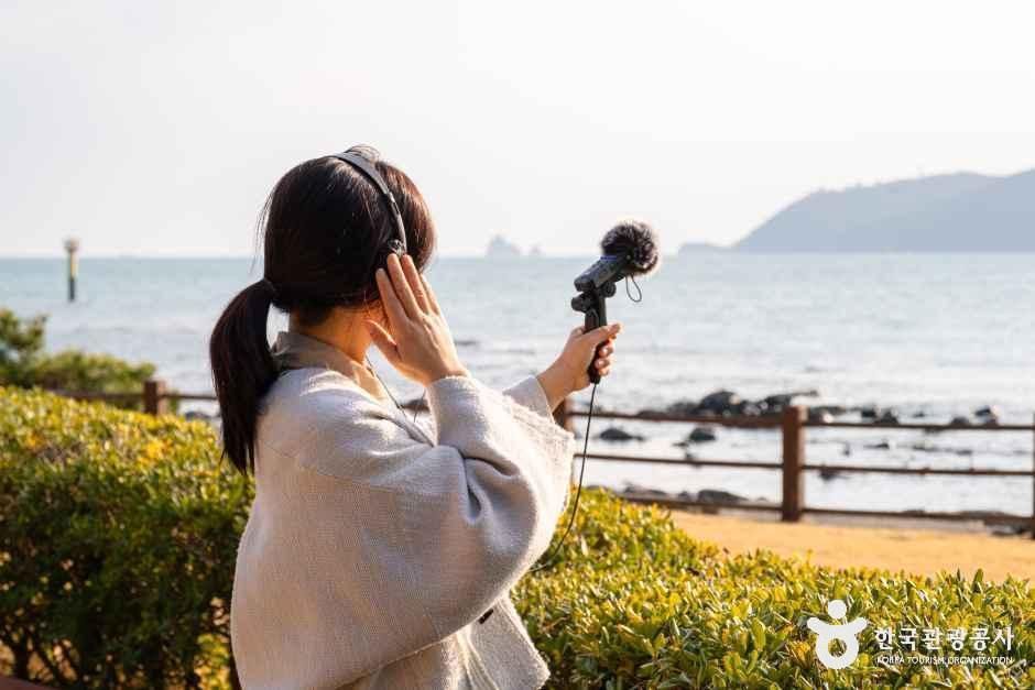 하버요가&무브먼트