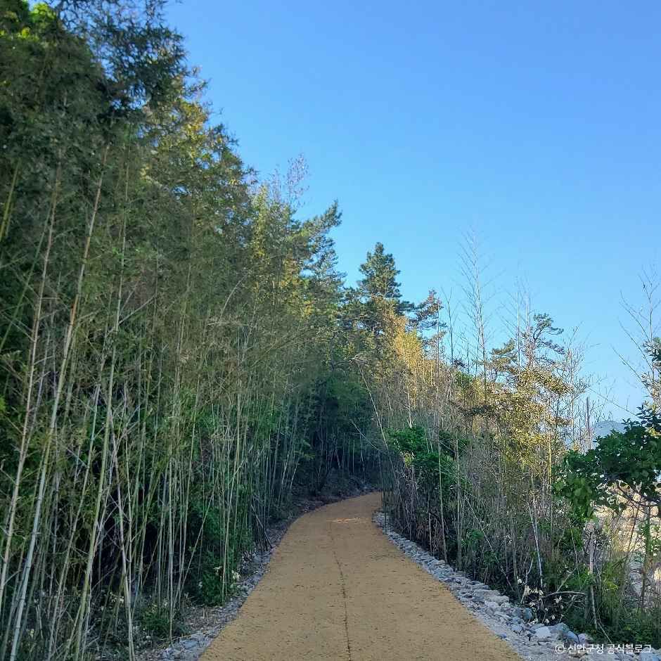 신안_[해안누리길] 해넘이길 (2).jpg