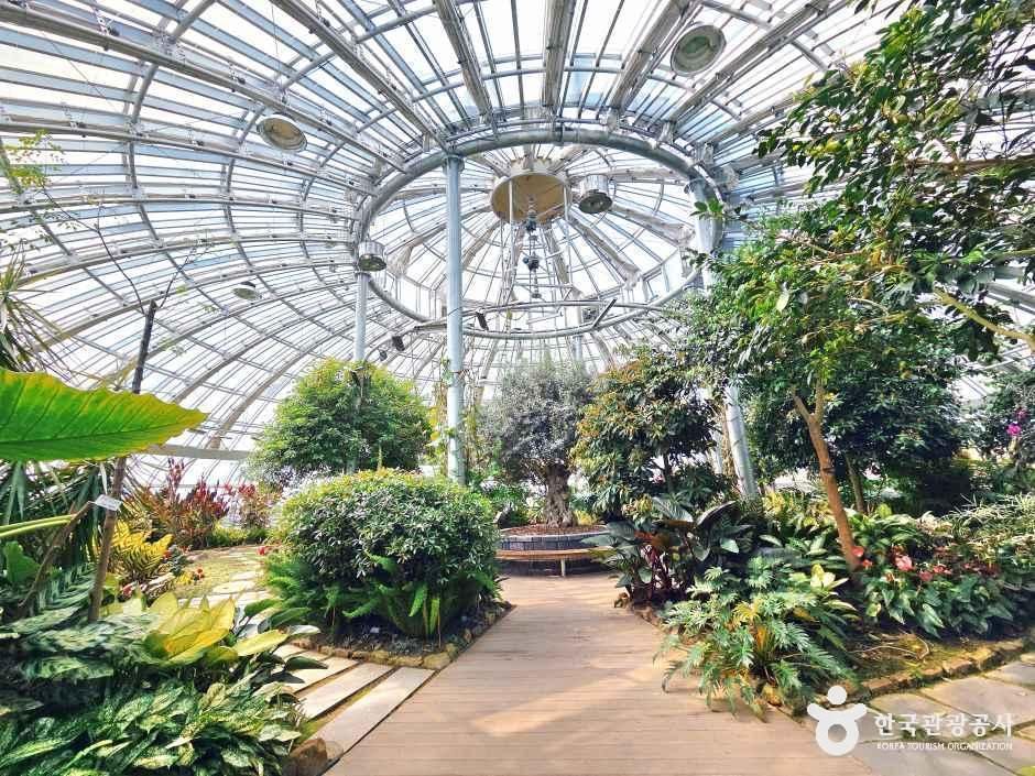 강릉 솔향수목원