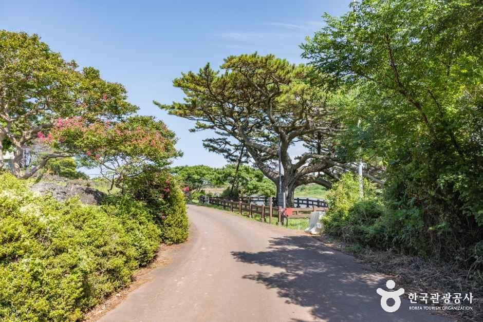 수산저수지