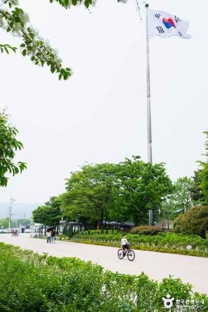 구리한강시민공원(코스모스공원)