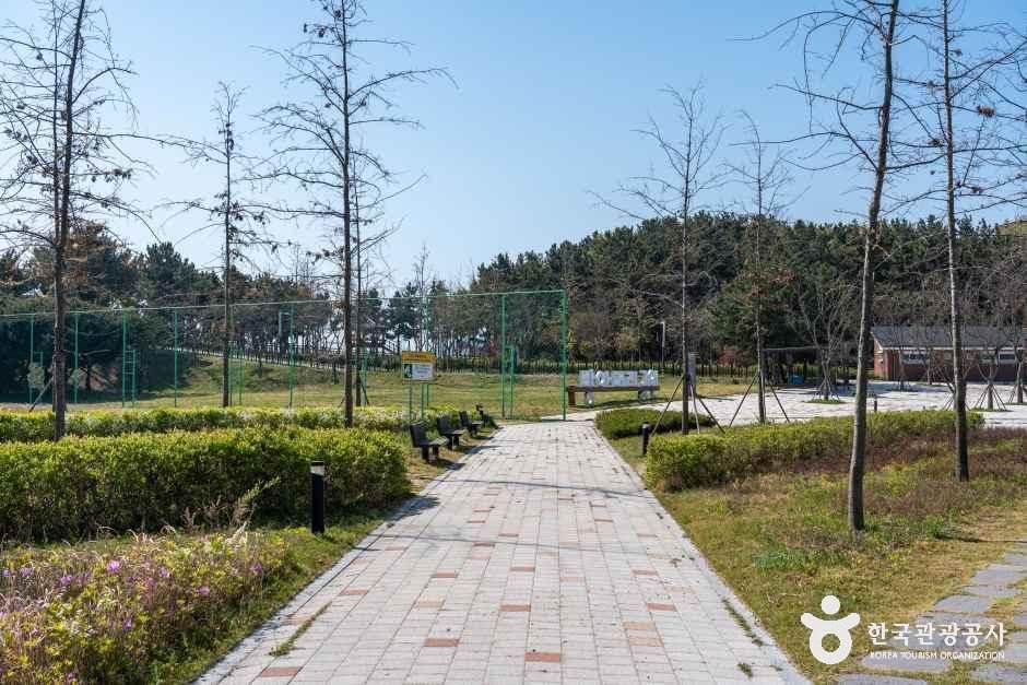 안산_대부도공원 (2).jpg