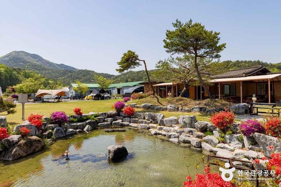 해밀터