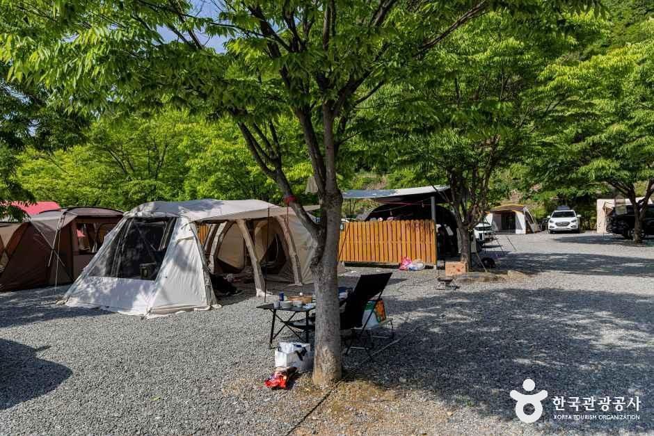 힐사이드캠핑장