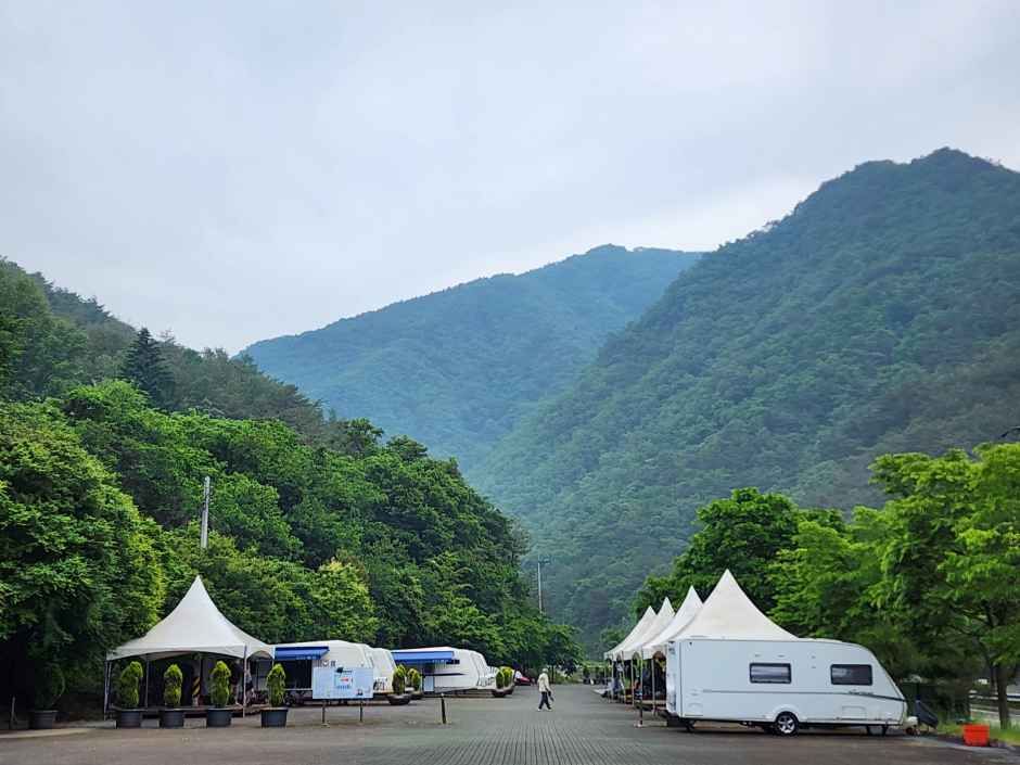어름치마을캠핑장