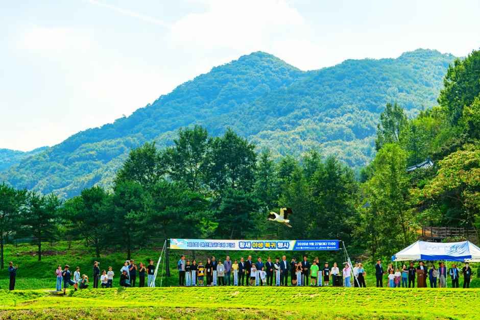 예산황새축제 현장 5