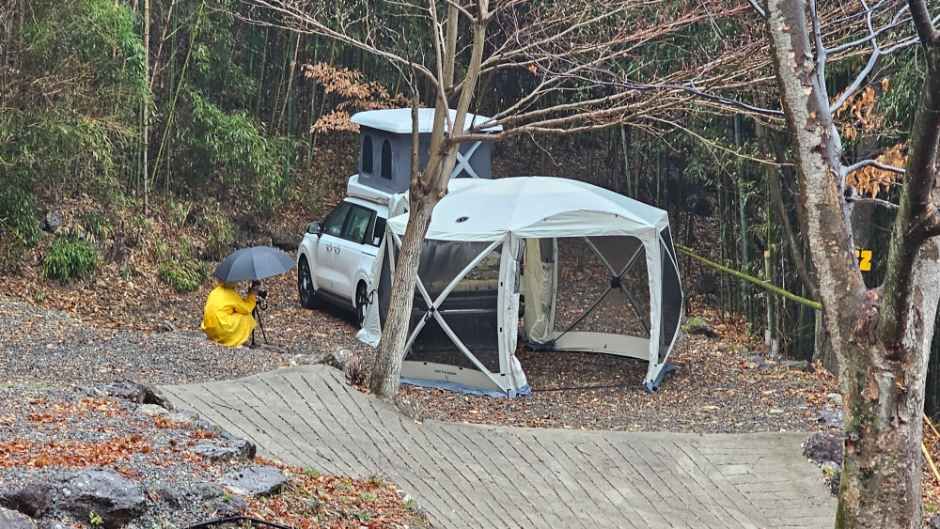 힐링파크