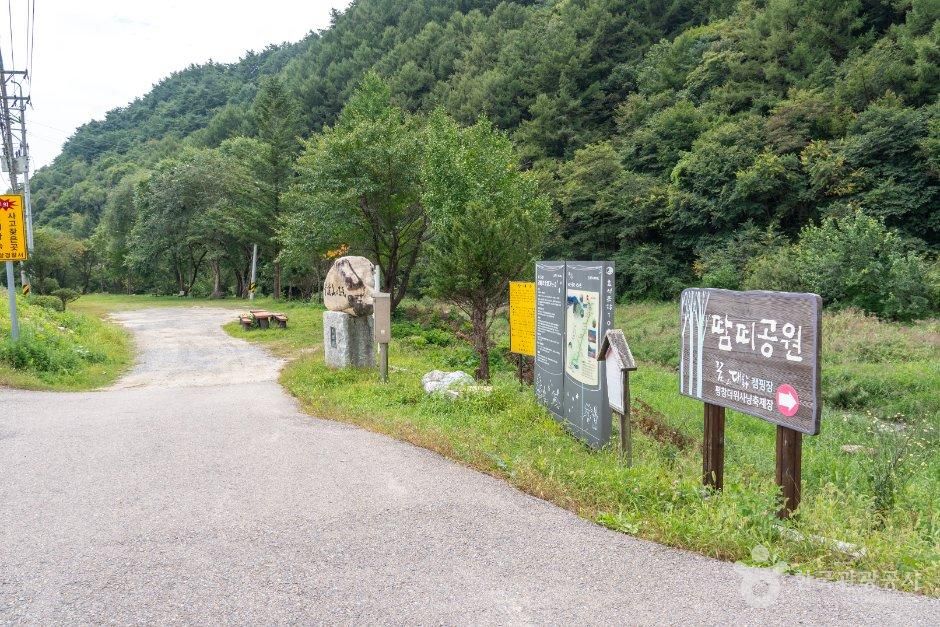 강원_평창_강따라 방림 가는길 (1).jpg